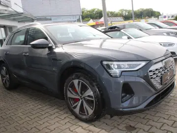 AUDI Q8 e-tron 50 quattro advanced Navi Matrix Kamera