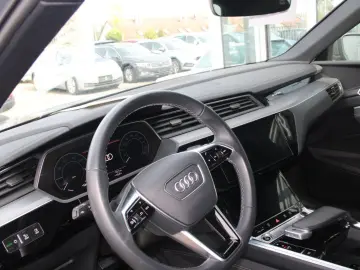 AUDI Q8 e-tron 50 quattro advanced Navi Matrix Kamera