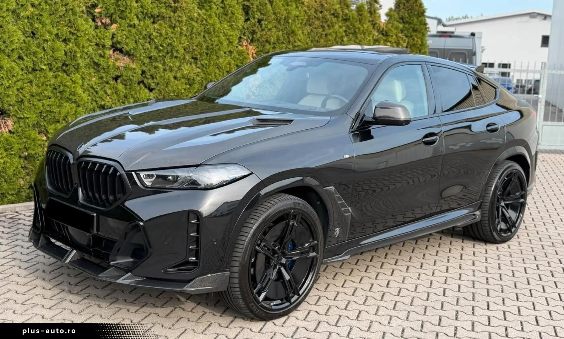 BMW X6 30 d xDrive M Sport Larte Design-Paket