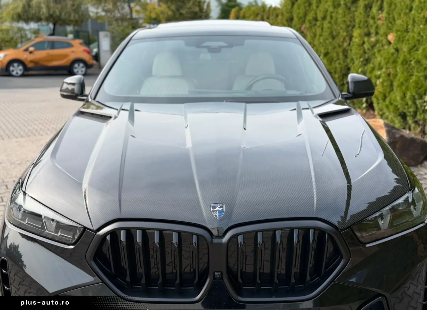 BMW X6 30 d xDrive M Sport Larte Design-Paket