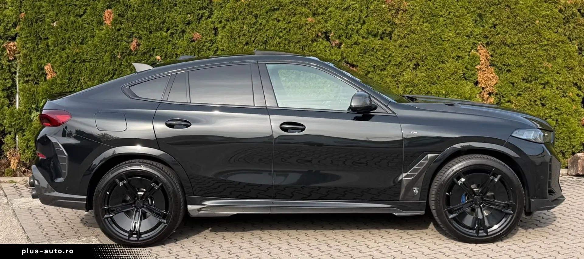 BMW X6 30 d xDrive M Sport Larte Design-Paket