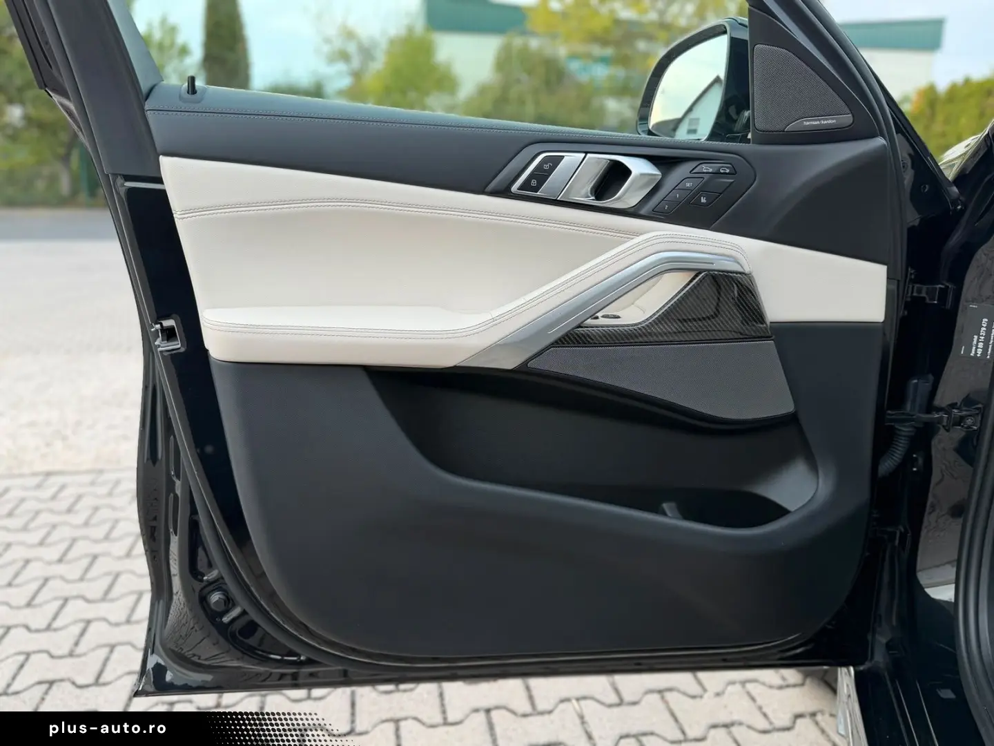 BMW X6 30 d xDrive M Sport Larte Design-Paket