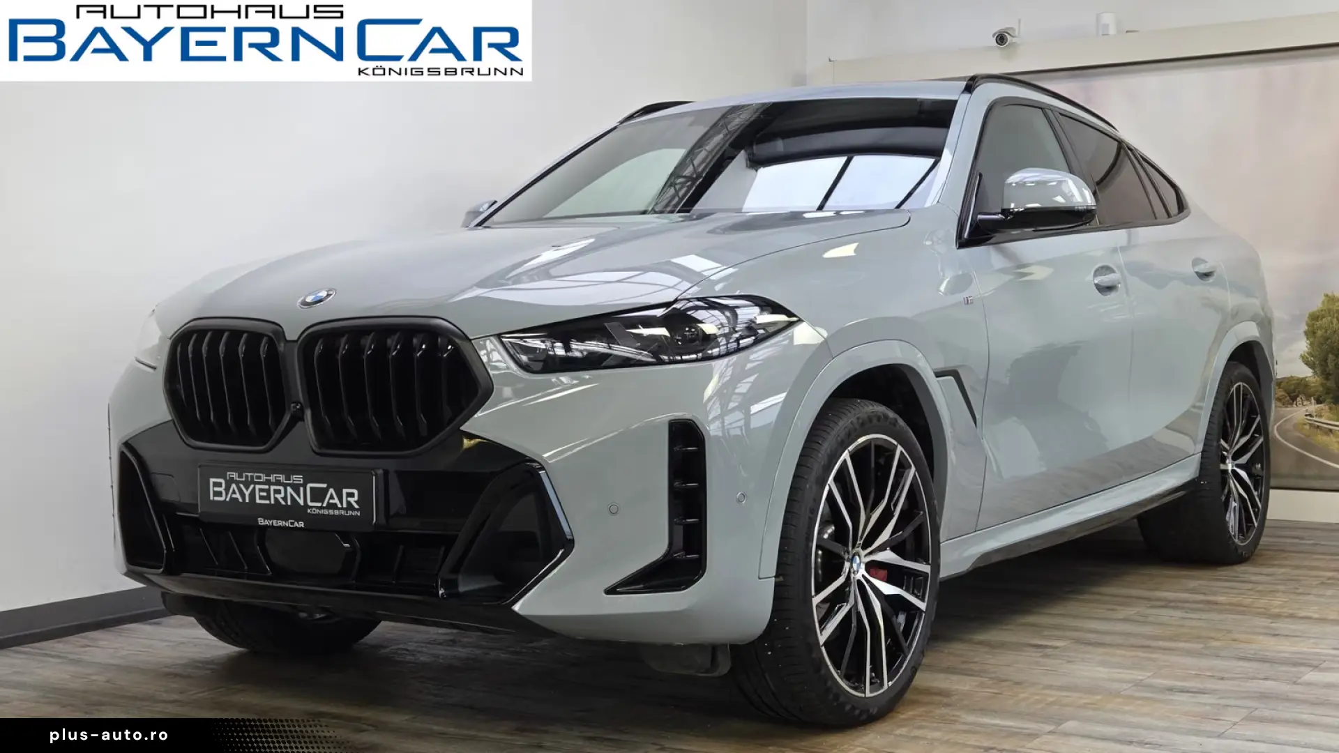 BMW X6 xDr30d M Sport Pro ACC 360 Pano H&K 22Zoll