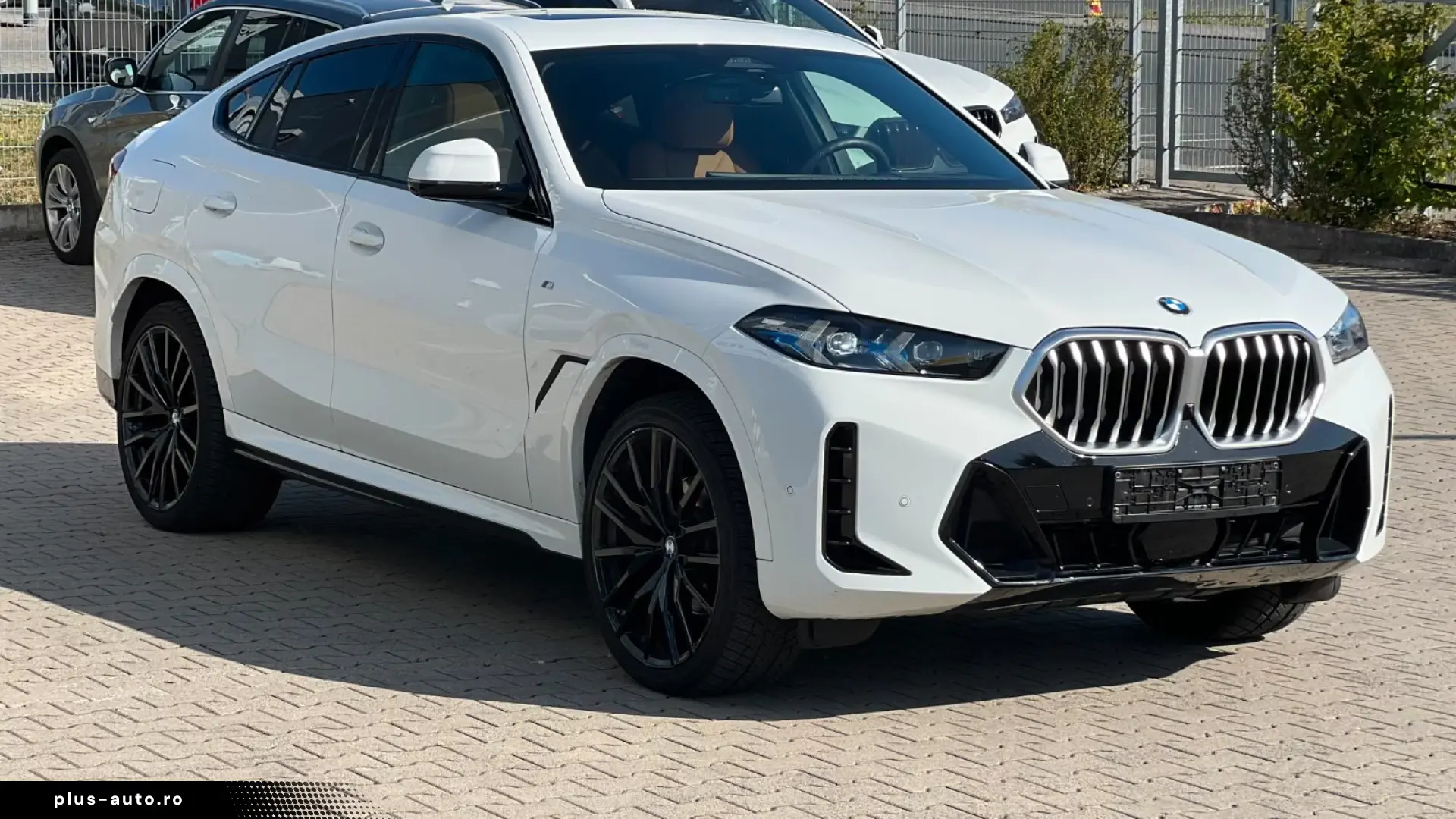 BMW X6 30 d xDr M Sport  Leder Braun HK Pano HuD