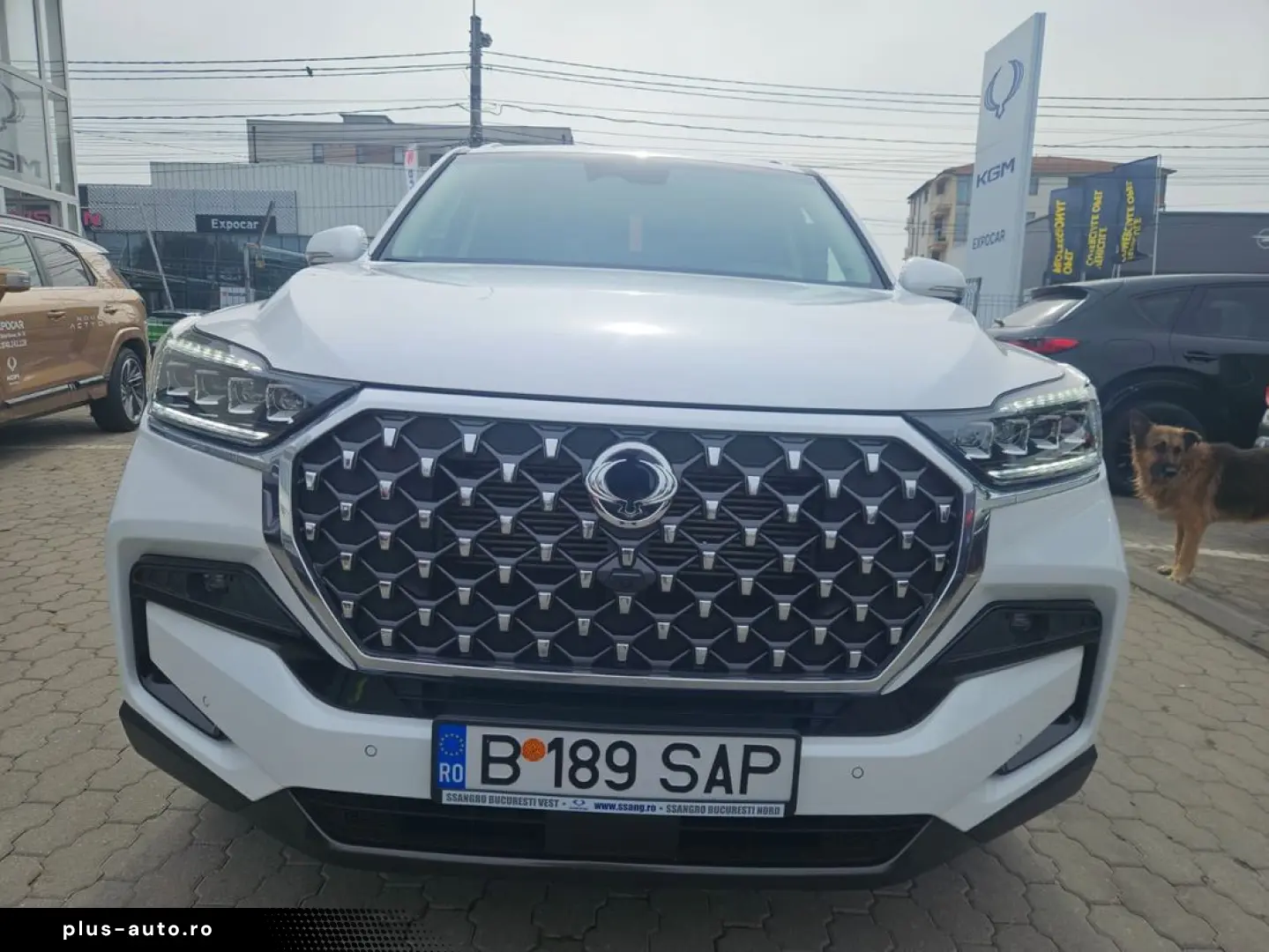 Ssangyong Rexton Premium plus cu trapa si praguri electrice
