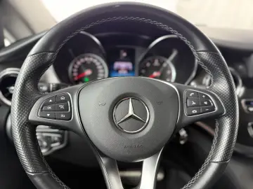 MERCEDES-BENZ V 250 d EDITION 4M lang Leder Standhun…