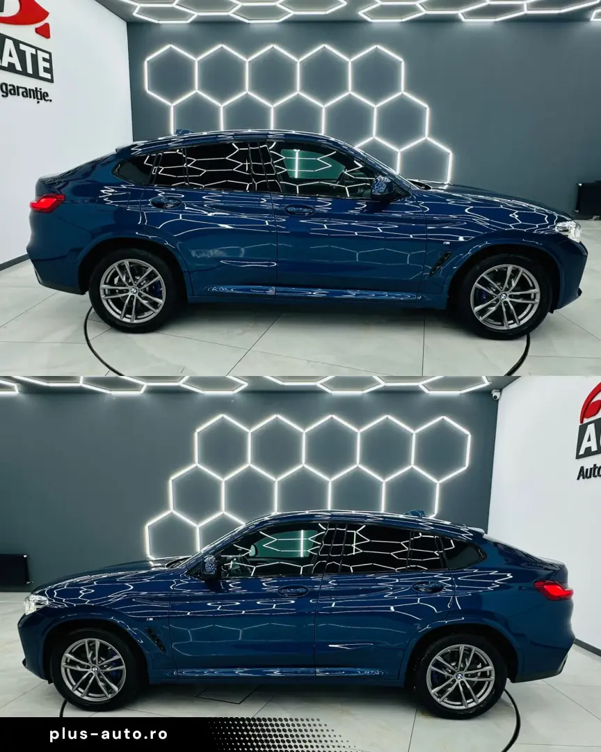 BMW X4 2019 2.0i E6 4x4 Garantie 12 Luni Rate Avans 0 Doar C