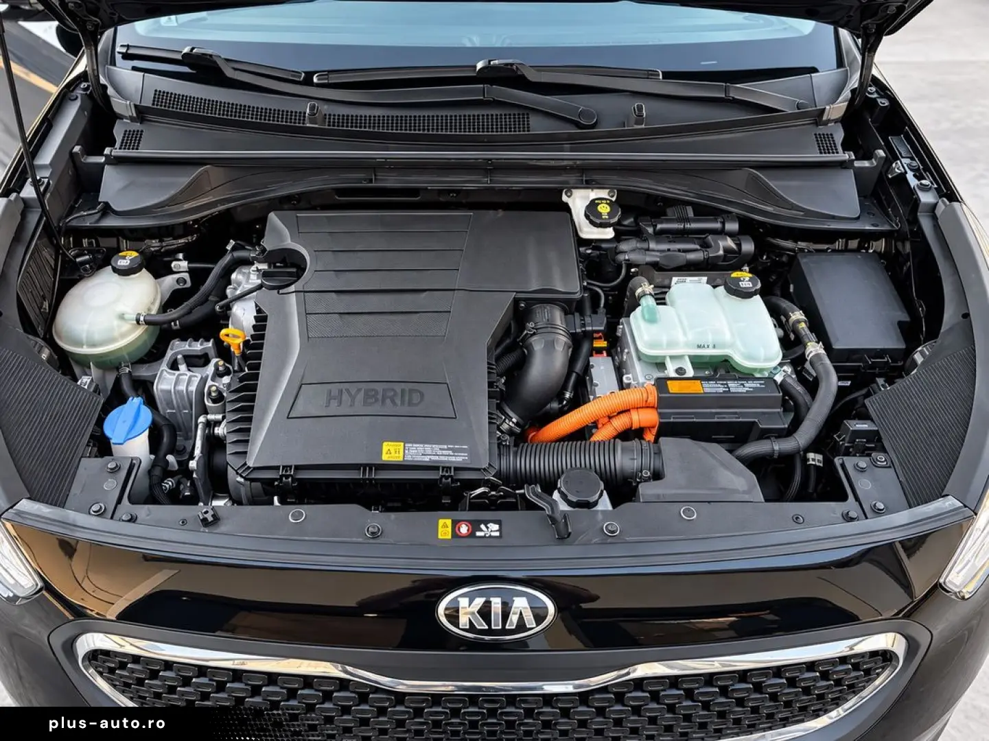 Kia Niro EcoHybrid 2017   1.6Benzina Hybrid
