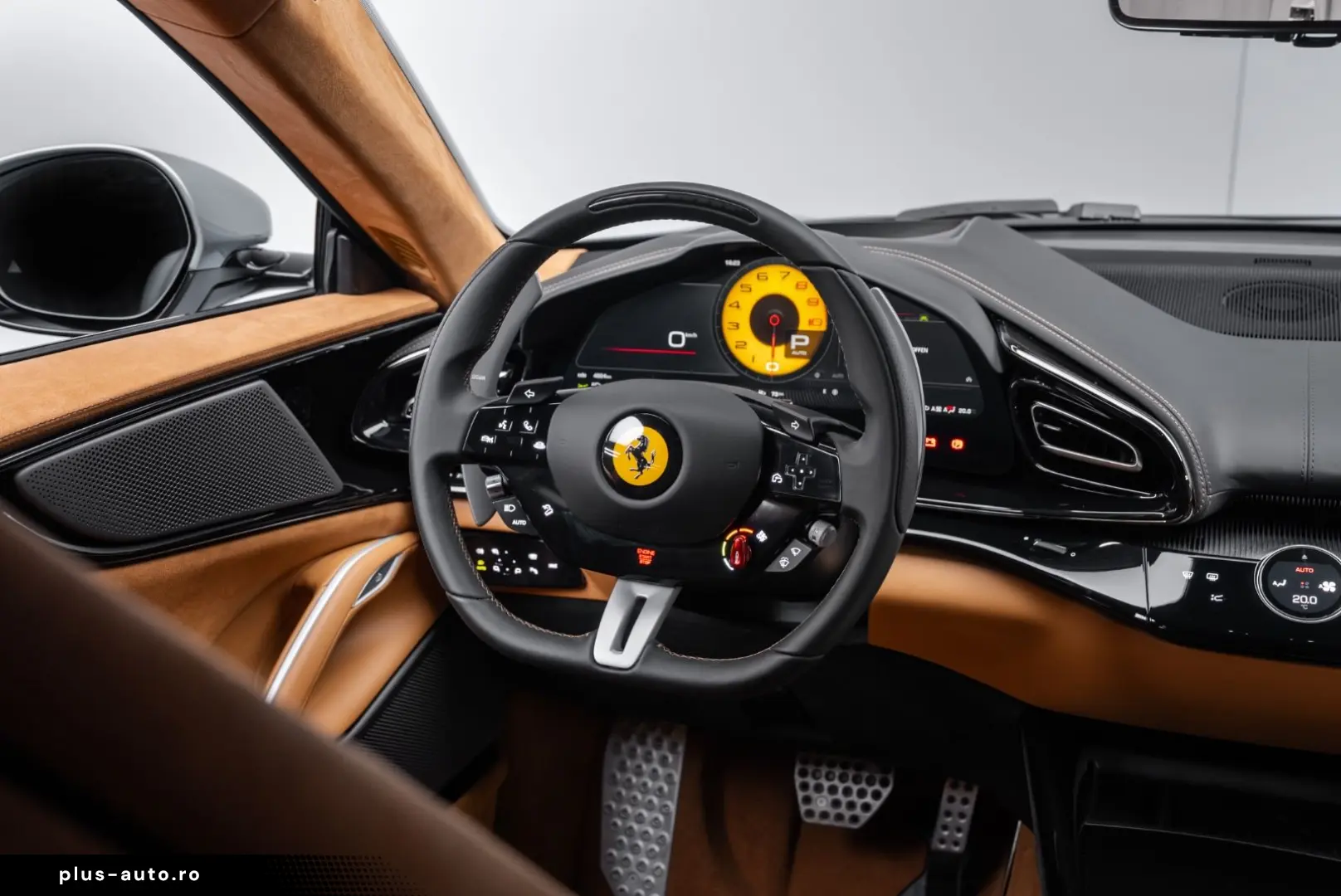 FERRARI Purosangue CARBON PANO PAINTED SHIELDS