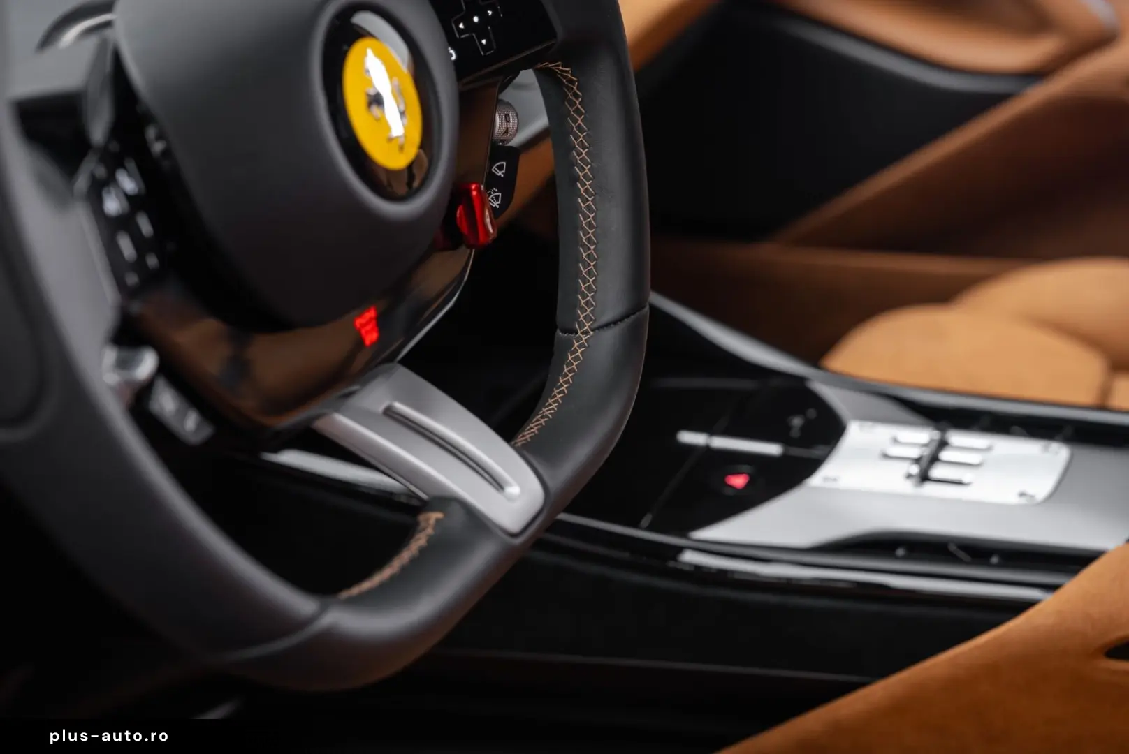 FERRARI Purosangue CARBON PANO PAINTED SHIELDS