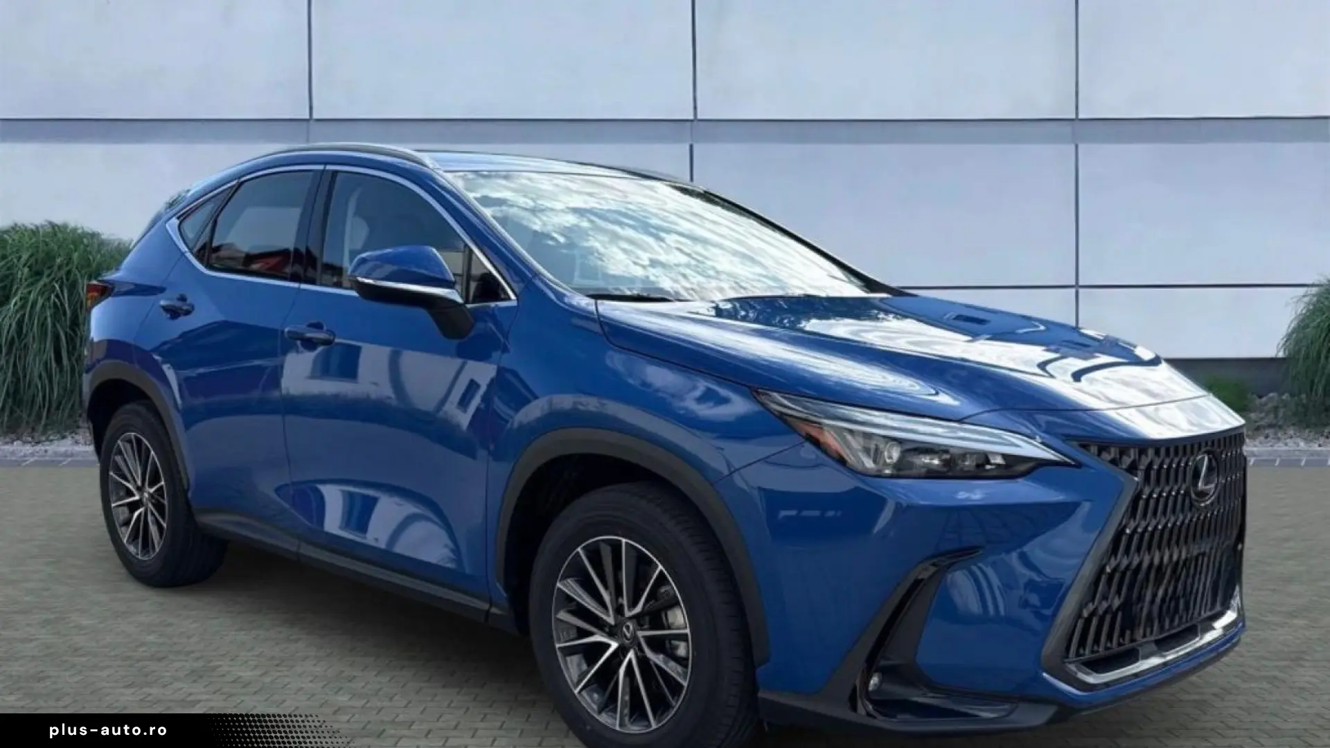 Lexus NX 350h E-FOUR Business CarPlay Bi-LED instant