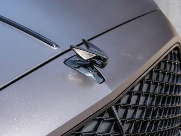 BENTLEY Flying Spur Speed Rear Entertainment  Dark Chrom