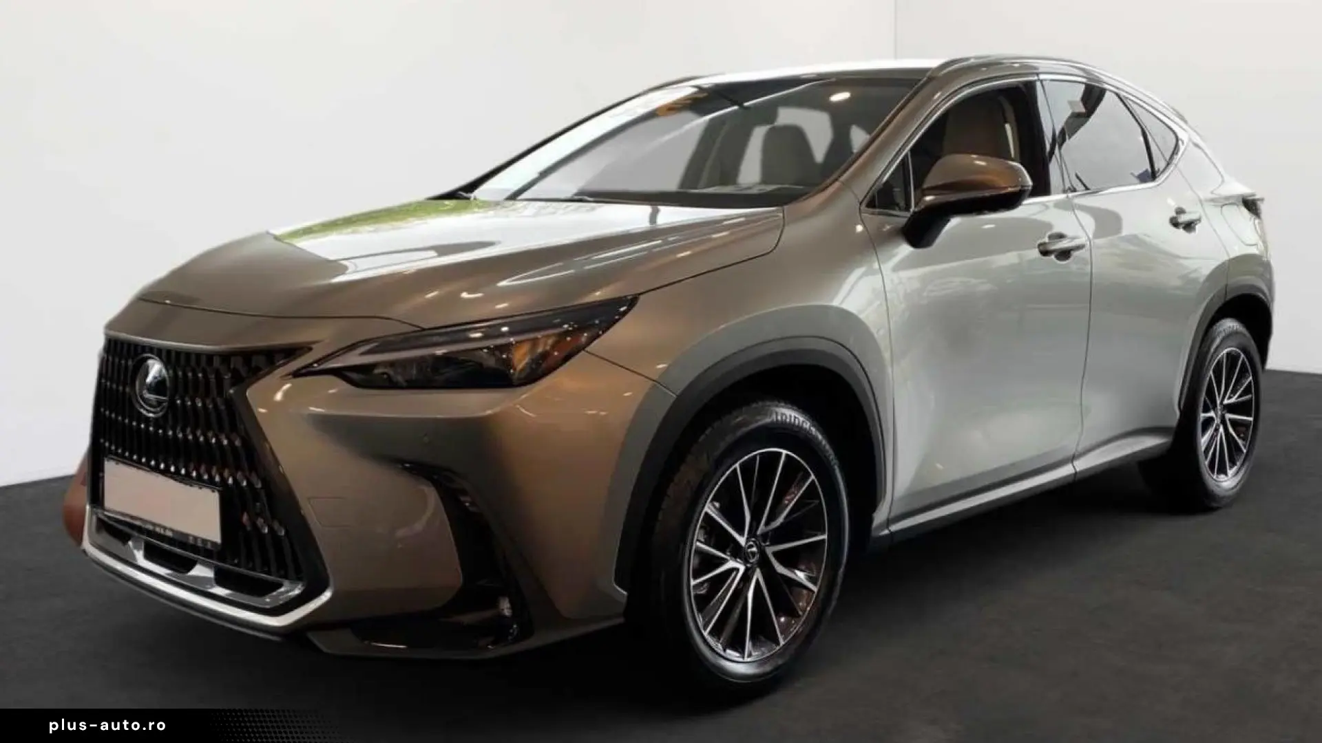 Lexus NX 350h Business Line BUSINESS-P. CAMERA