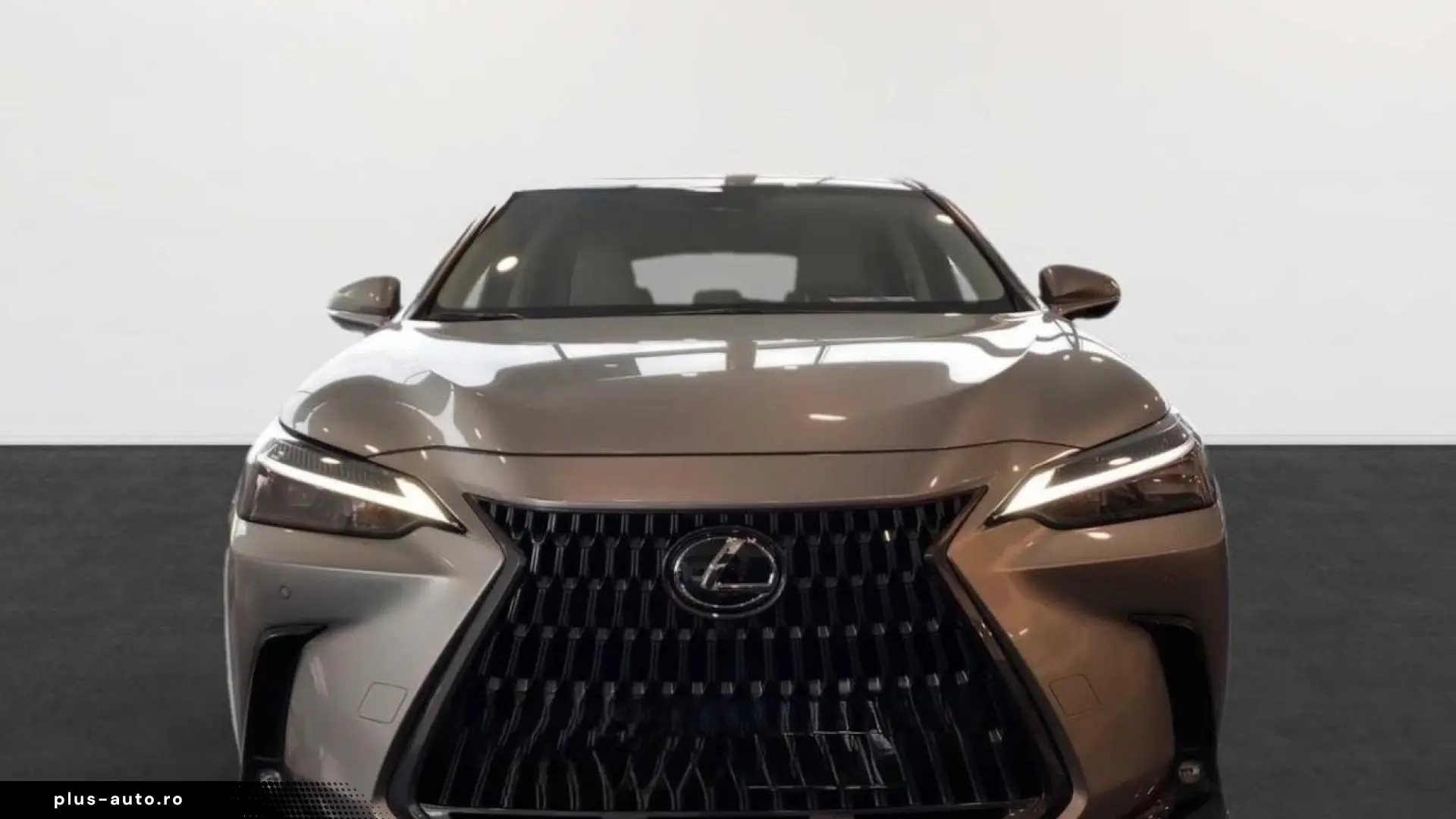 Lexus NX 350h Business Line BUSINESS-P. CAMERA