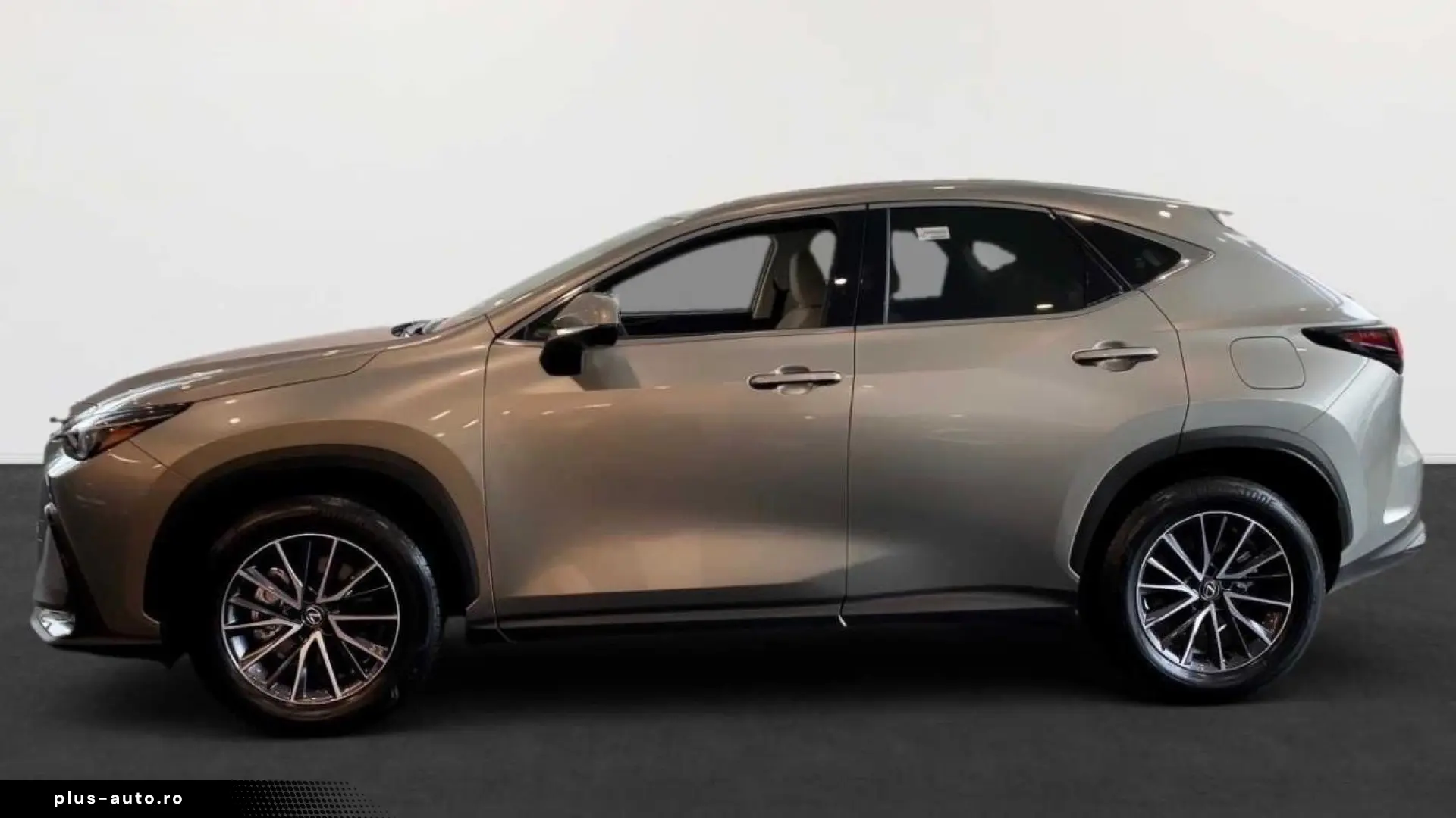 Lexus NX 350h Business Line BUSINESS-P. CAMERA
