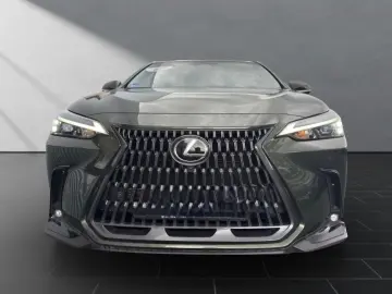 Lexus NX 350h Business Connect Package 360CAM Seating A