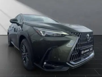 Lexus NX 350h Business Connect Package 360CAM Seating A