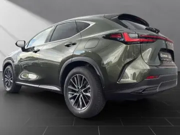 Lexus NX 350h Business Connect Package 360CAM Seating A