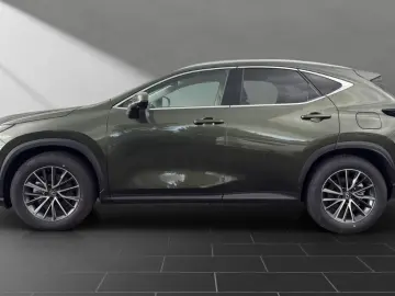 Lexus NX 350h Business Connect Package 360CAM Seating A