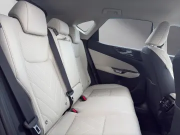 Lexus NX 350h Business Connect Package 360CAM Seating A