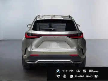 Lexus NX 450h  F Sport  20inch All-wheel-drive Matrix 360