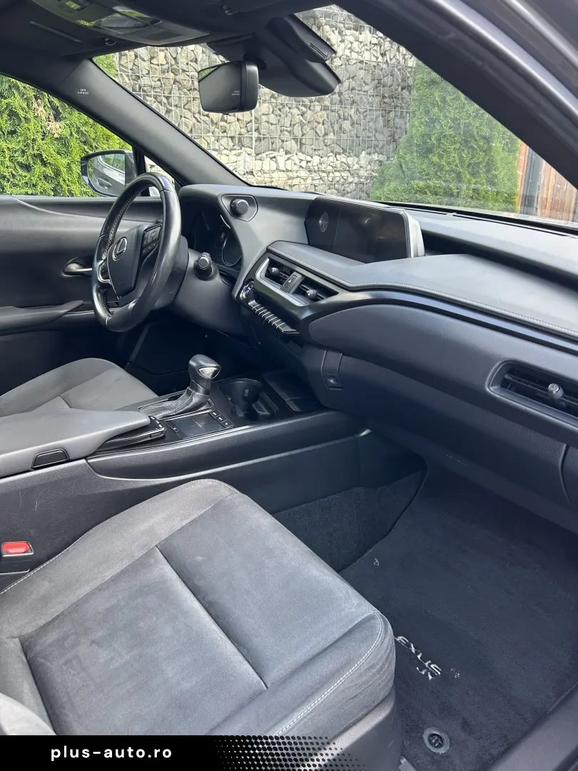 Lexus UX 250h - AWD (E-Four)
