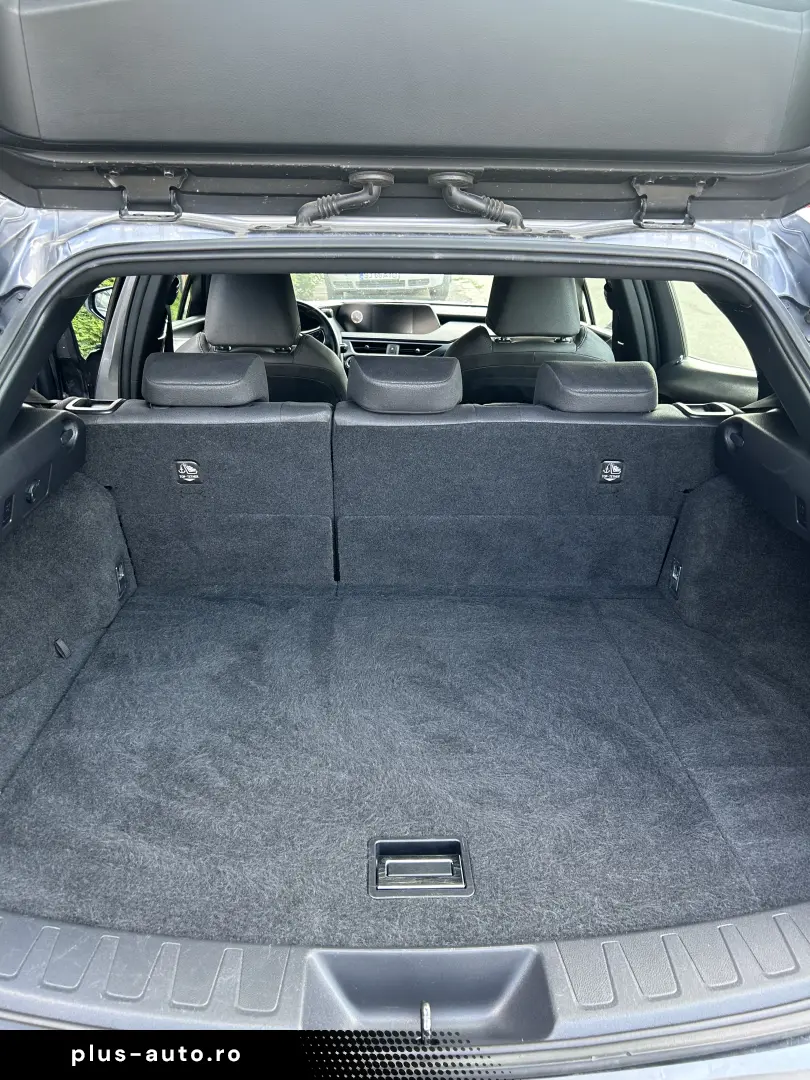 Lexus UX 250h - AWD (E-Four)