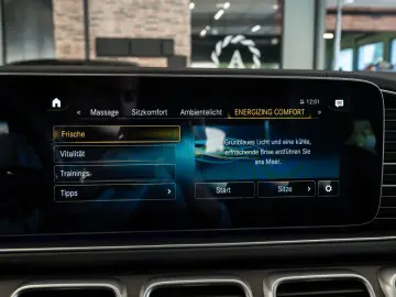 MERCEDES-BENZ GLS 580 4M AMG LINE 7-SITZER PANO STDHZ AHK