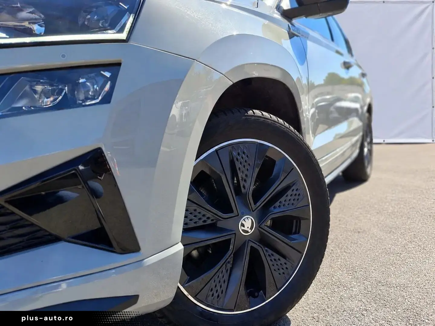 Skoda Karoq 2.0 TSI 4x4 Dsg Sportline
