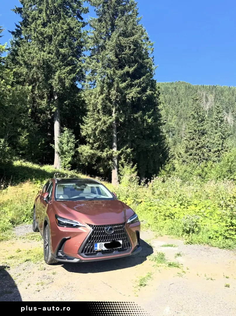 Lexus NX 350h luxury