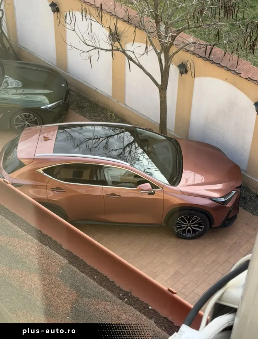 Lexus NX 350h luxury