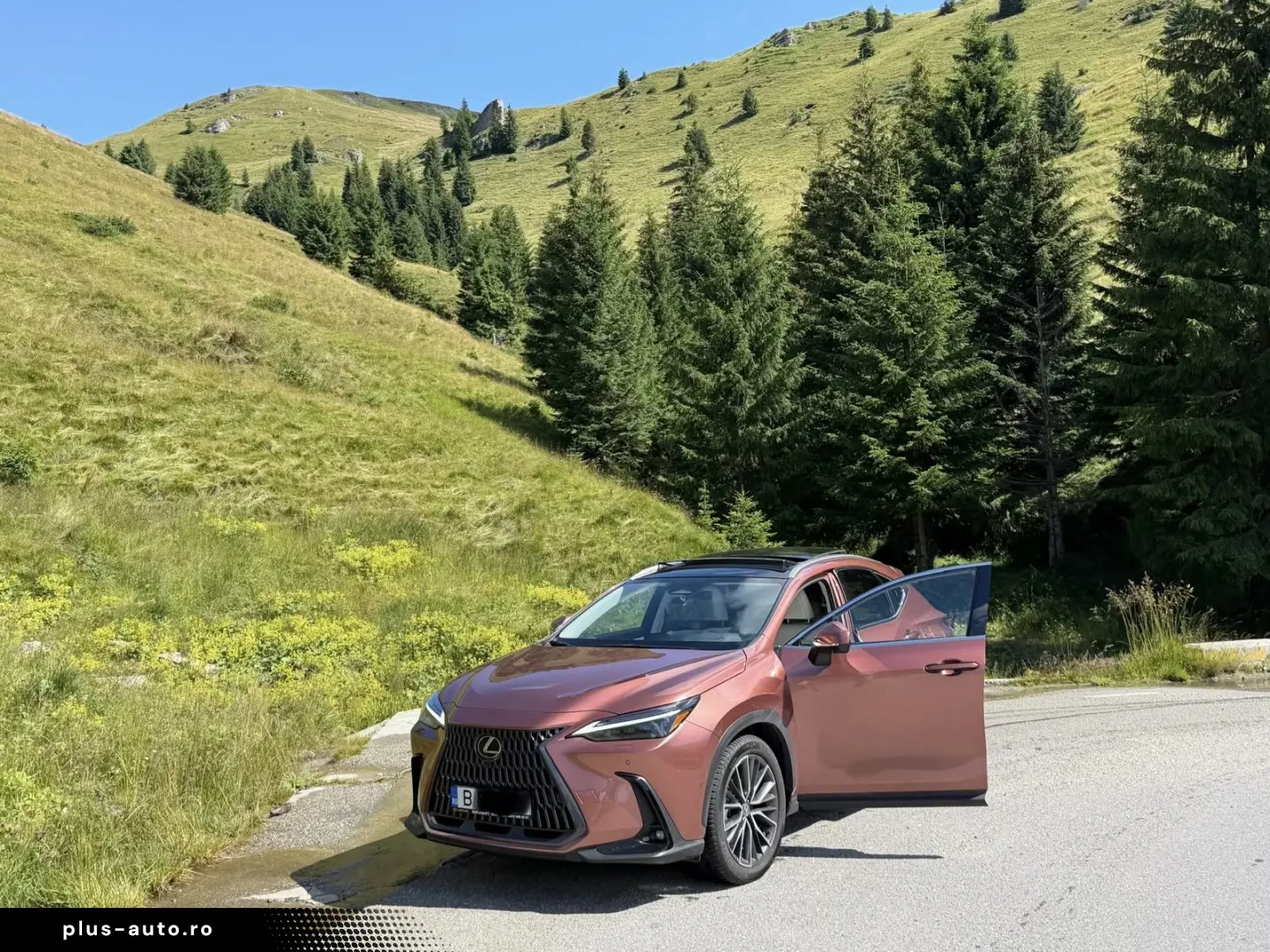 Lexus NX 350h luxury