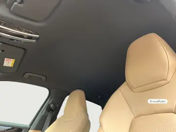 PORSCHE Cayenne E-Hybrid Luftfederung BOSE PDCC Sportabg