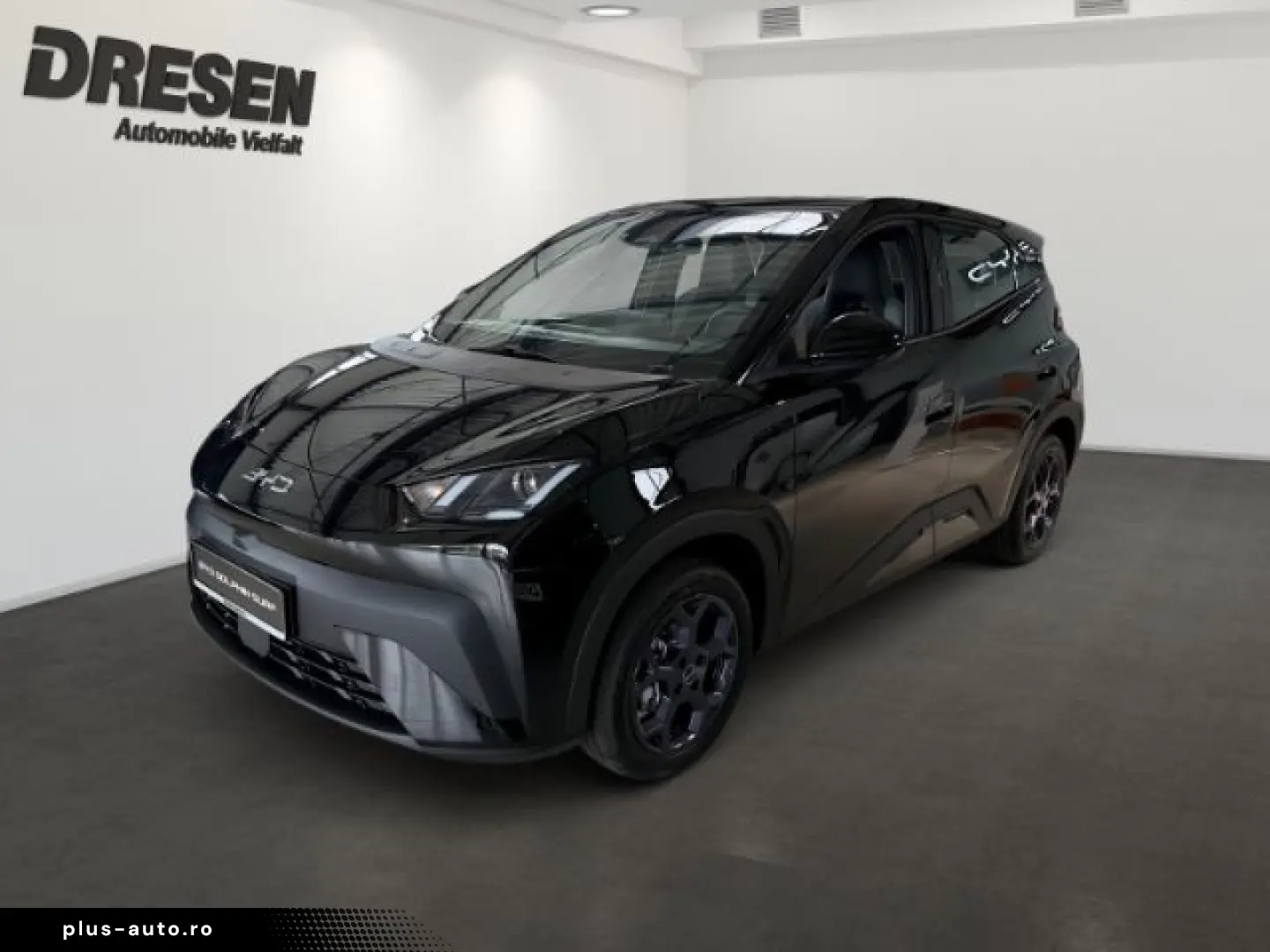 BYD Dolphin Surf Boost Klima PDC Hinten Carplay Rück