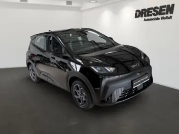 BYD Dolphin Surf Boost Klima PDC Hinten Carplay Rück