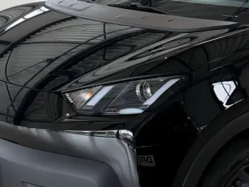 BYD Dolphin Surf Boost Klima PDC Hinten Carplay Rück