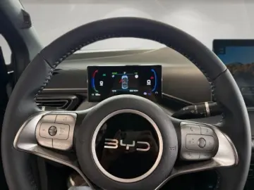 BYD Dolphin Surf Boost Klima PDC Hinten Carplay Rück