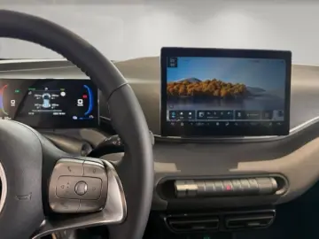 BYD Dolphin Surf Boost Klima PDC Hinten Carplay Rück