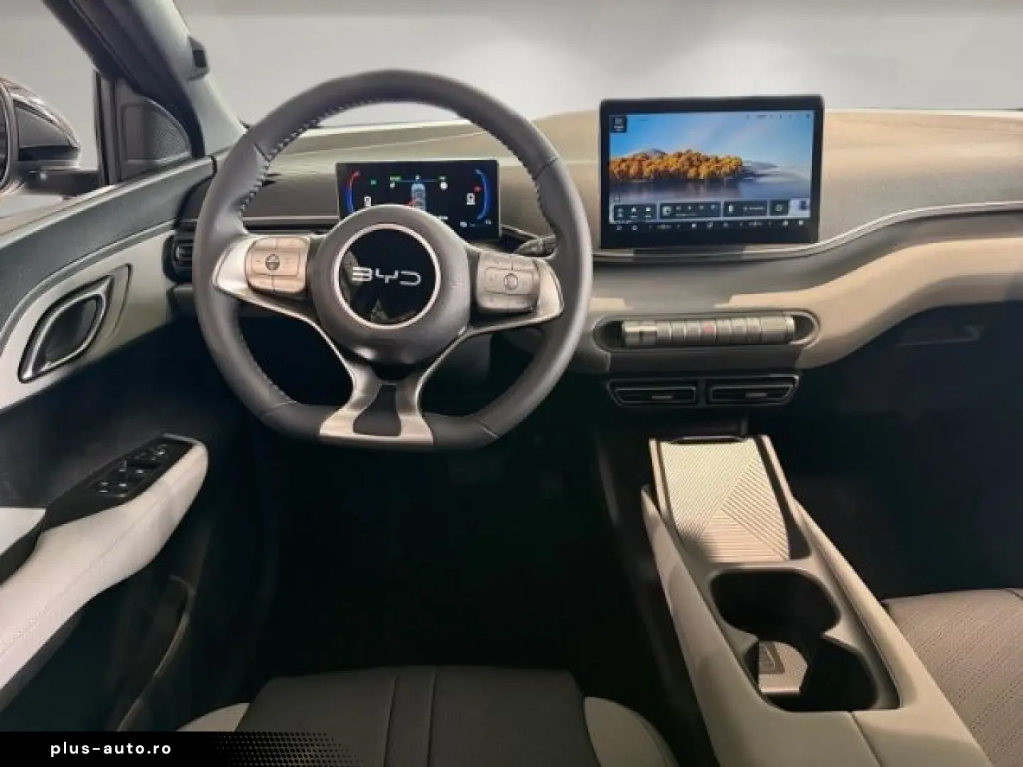 BYD Dolphin Surf Boost Klima PDC Hinten Carplay Rück