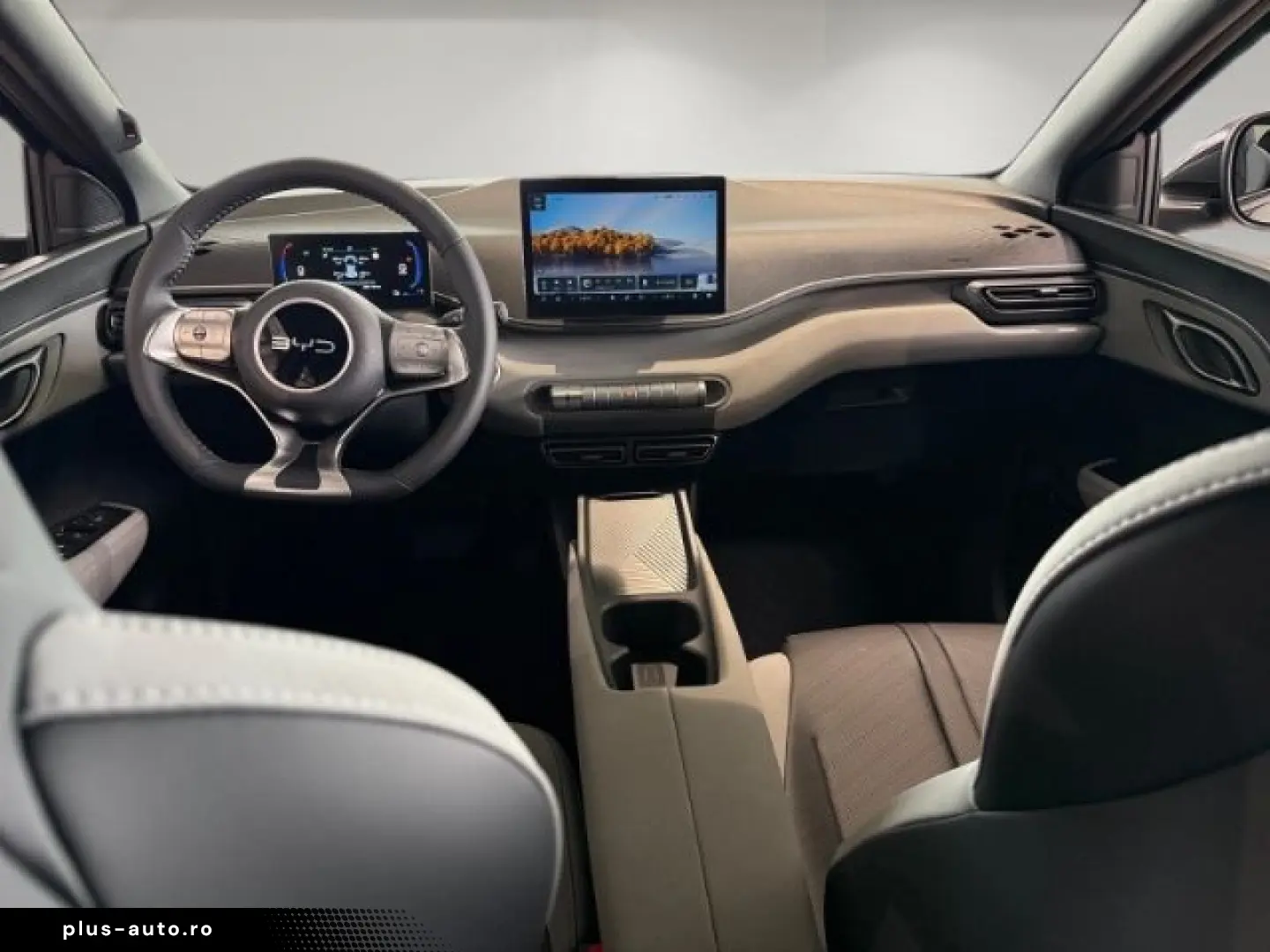BYD Dolphin Surf Boost Klima PDC Hinten Carplay Rück