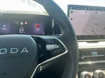 SKODA Kodiaq 2.0 TSI RS 4x4 MATRIX-LED AHK 360  PANO