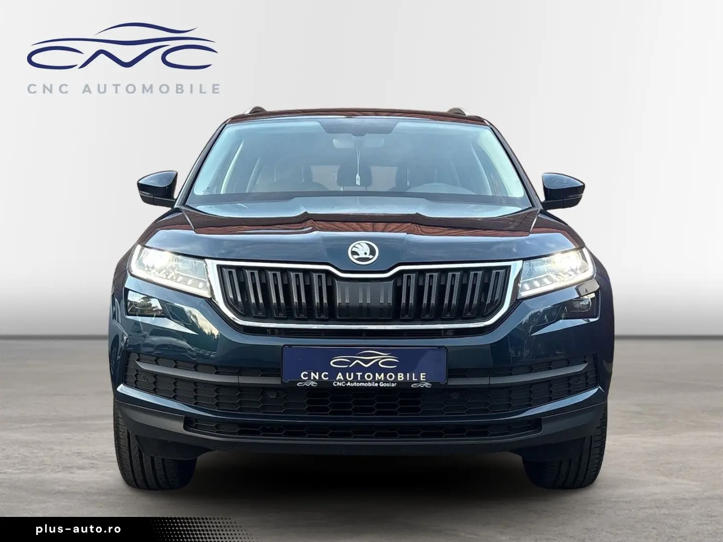 SKODA Kodiaq DSG Style Memory Kamera LED SHZ