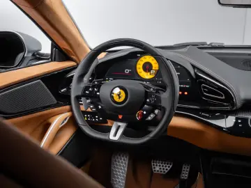 Ferrari Purosangue CARBON PANO PAINTED SHIELDS