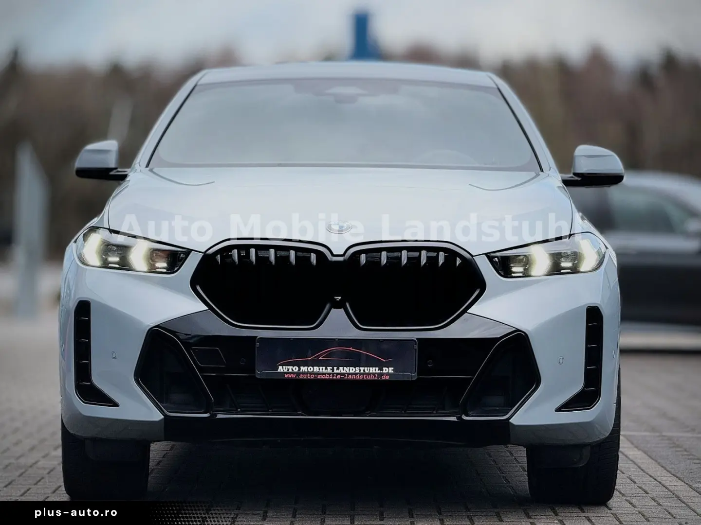 BMW X6 30d M-SPORT LASER MEMRY ICON-GLOW 4X-SZHZ 22