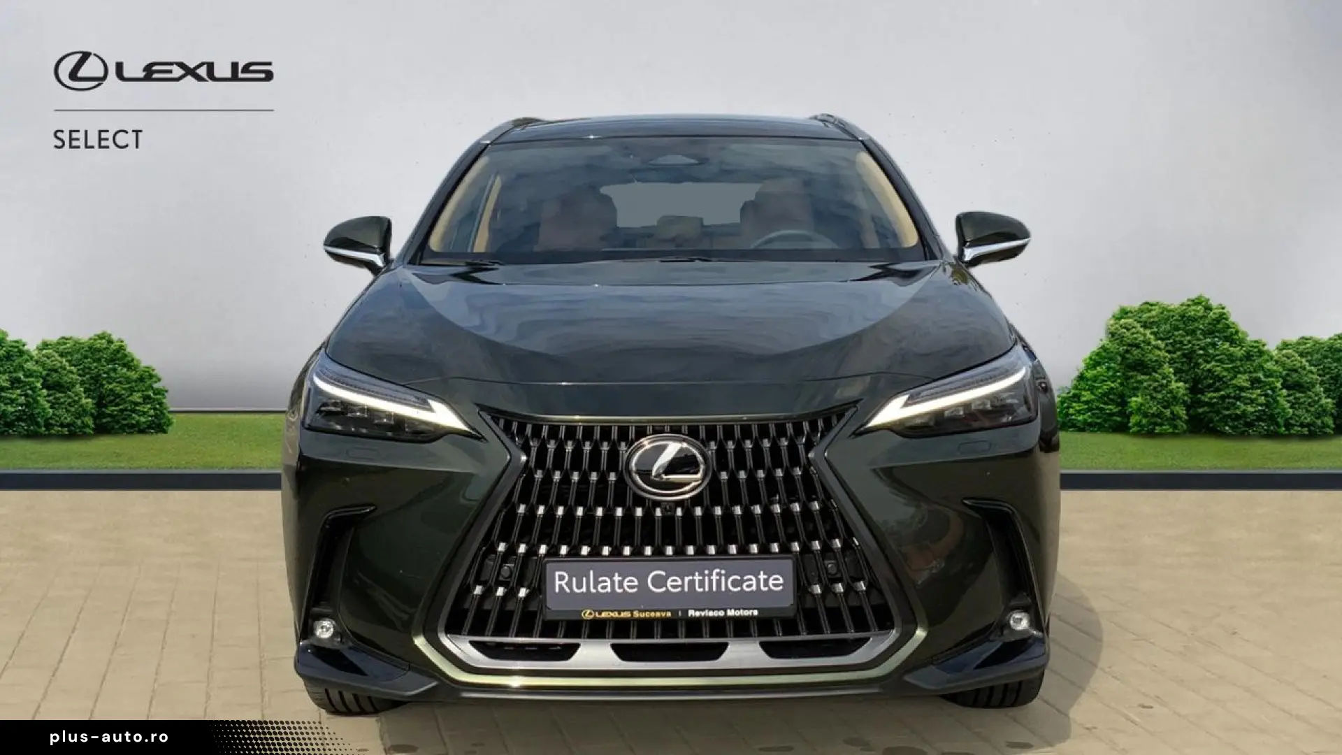 Lexus Serianx