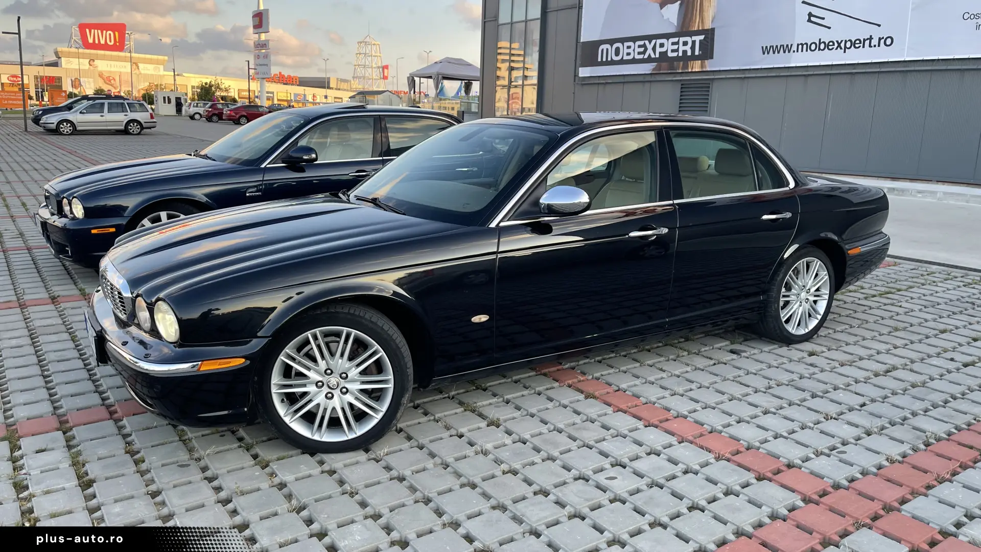 XJ6d