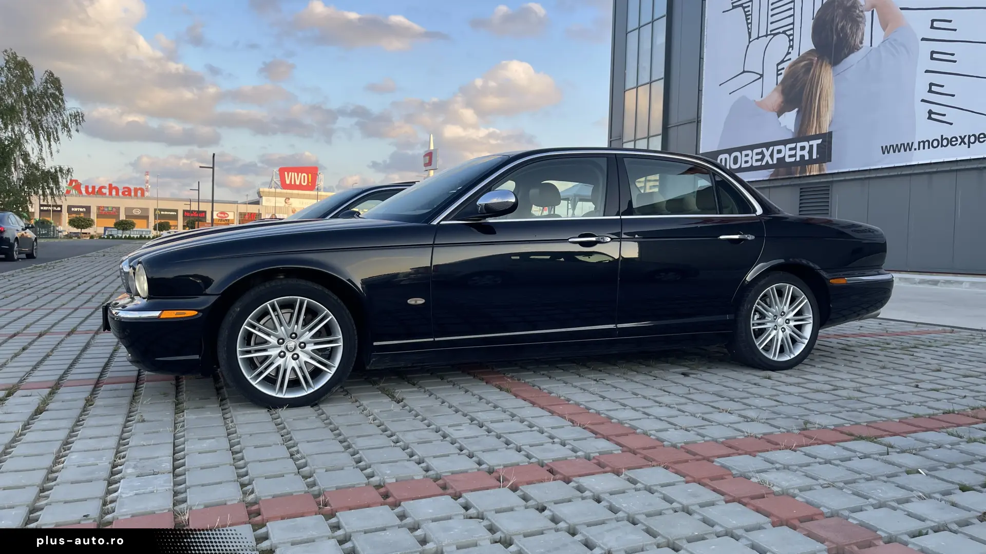 XJ6d