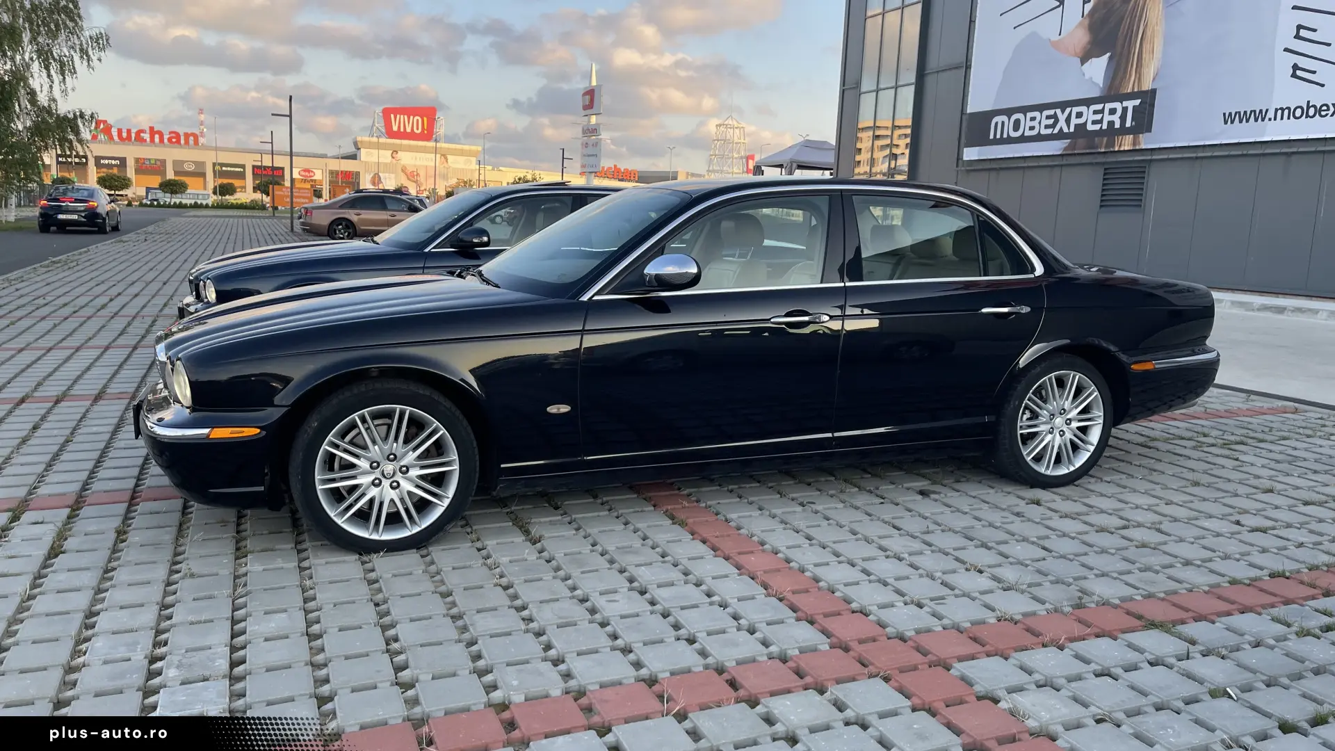 XJ6d
