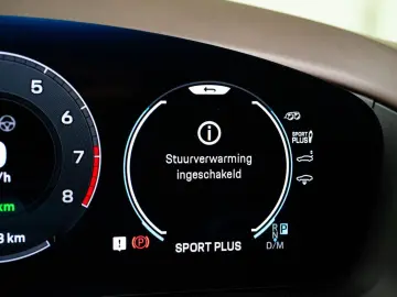 PORSCHE Panamera 2.9 4S E-Hybrid 544PK   Bose   Achteras