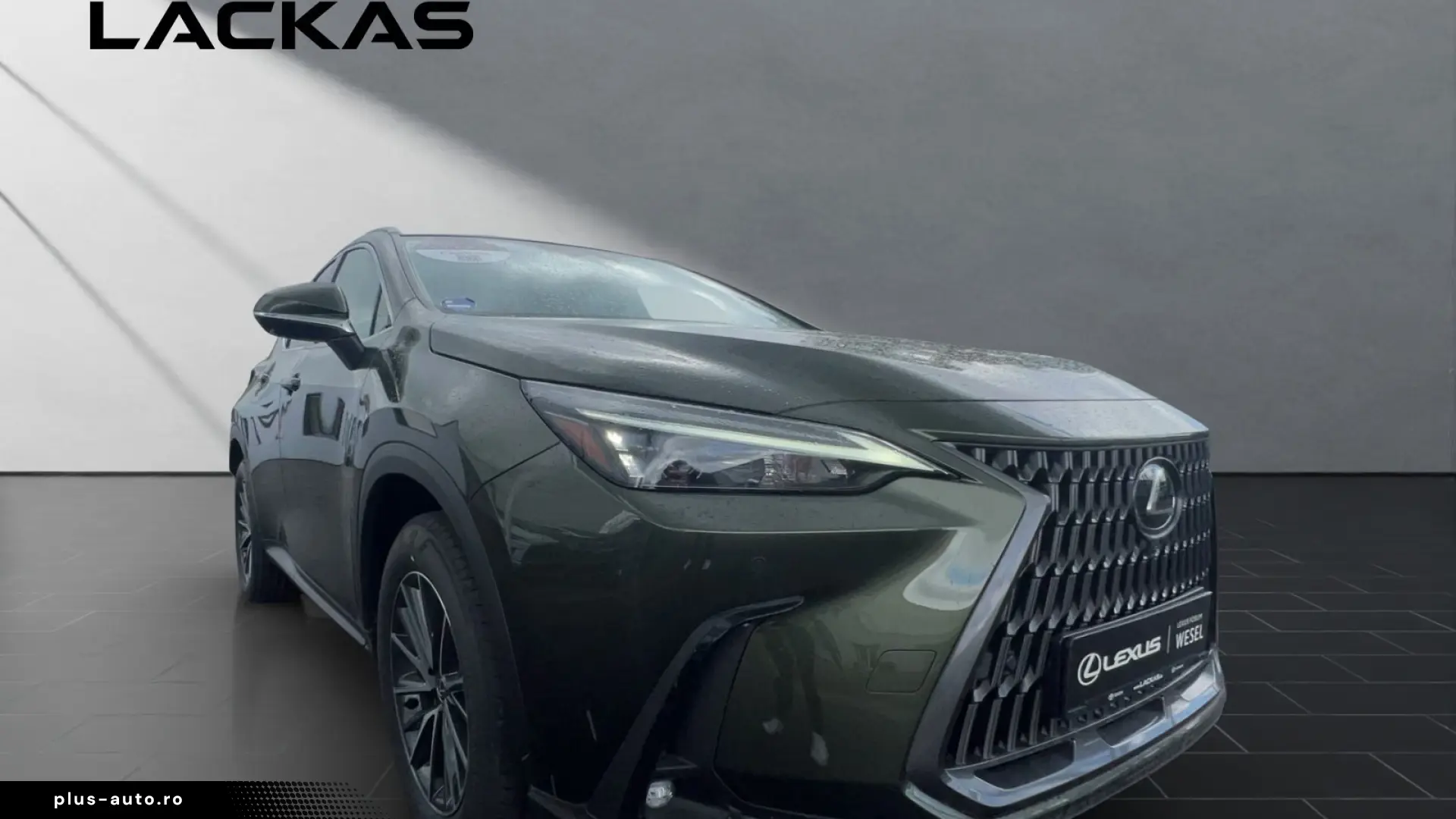 Lexus NX 350h Business Connect Paket 360CAM Sitzbelüf.